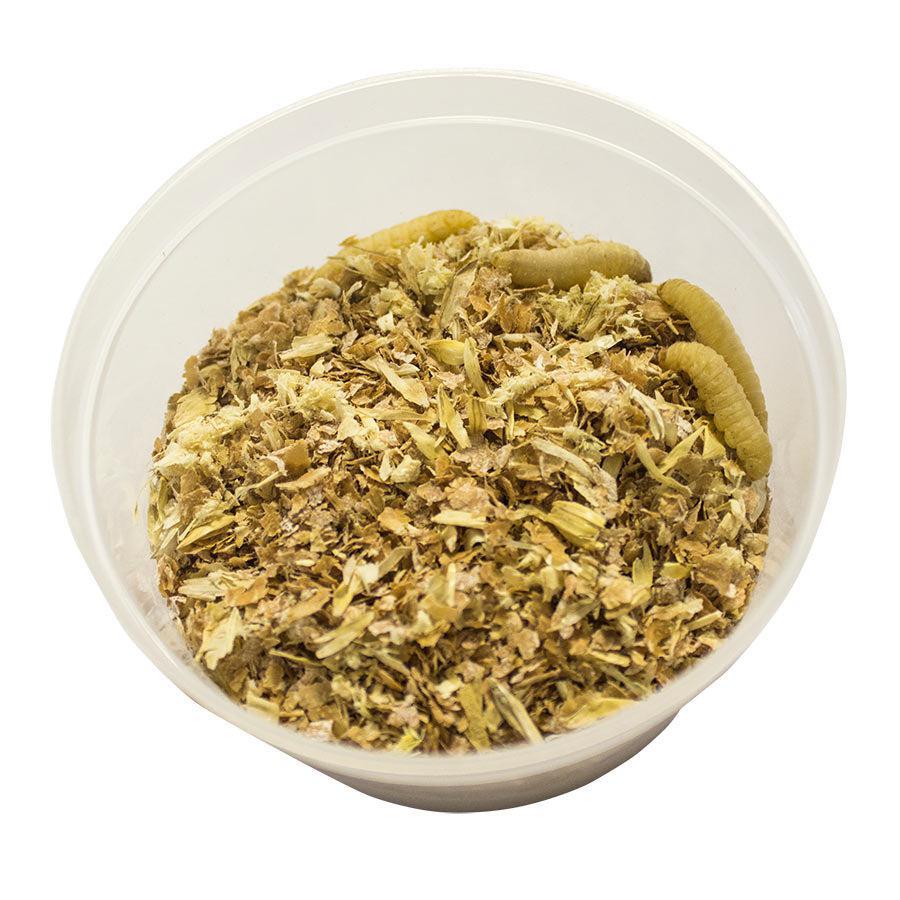 Livefood (ONLINE) Waxworms